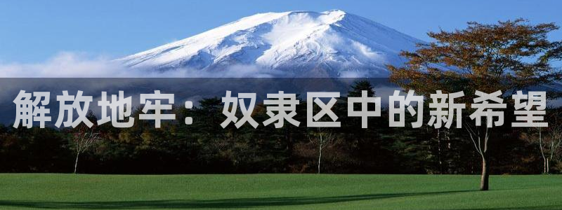 里番动漫合集：解放地牢：奴隶区中的新希望