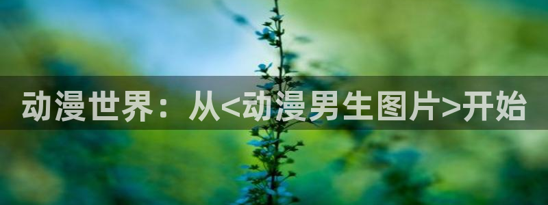 里番动漫风车动漫：动漫世界：从<动漫男生图片>开始