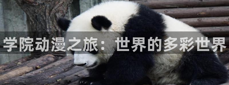 里番动漫是什么：学院动漫之旅：世界的多彩世界